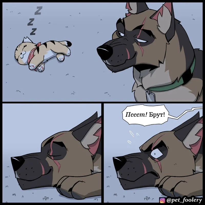 Pixie & Brutus - The Long Story p1 #6