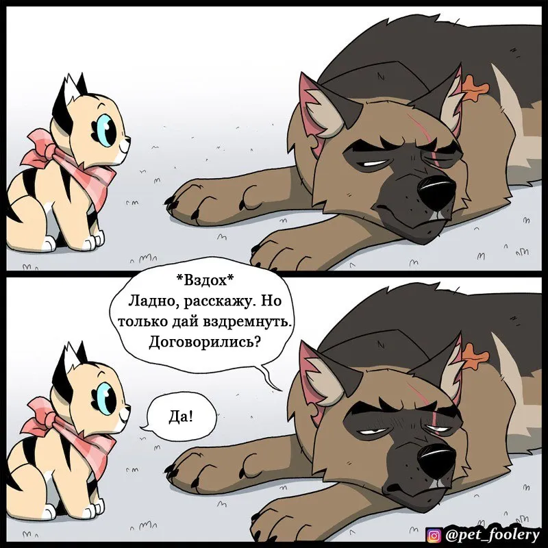 Pixie & Brutus - The Long Story p1 #4