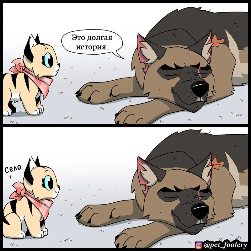 Pixie & Brutus - The Long Story p1 #3