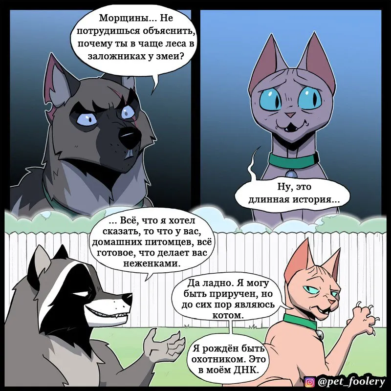 Pixie & Brutus - The Long Story p2 #3