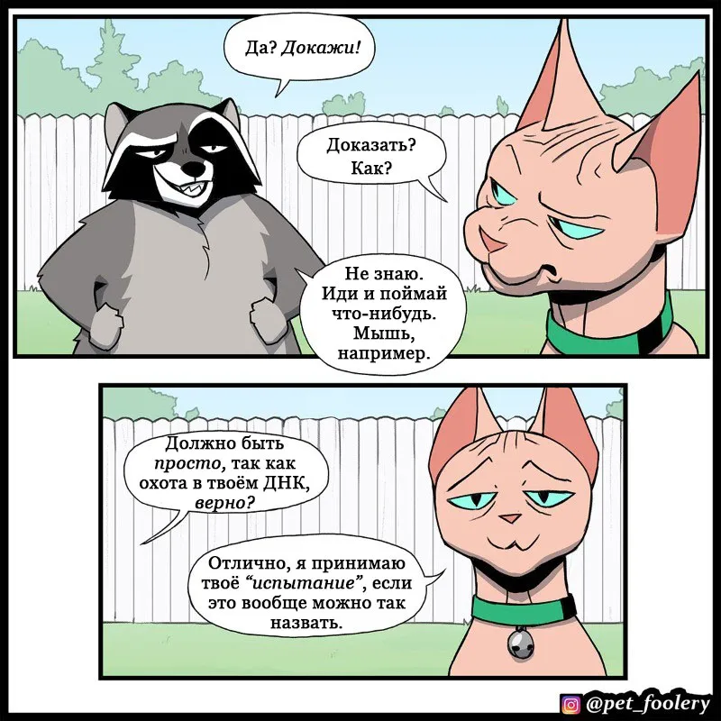 Pixie & Brutus - The Long Story p2 #4