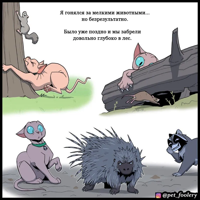 Pixie & Brutus - The Long Story p2 #5