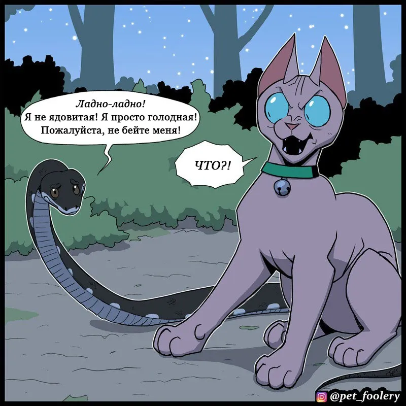 Pixie & Brutus - The Long Story p3 #6