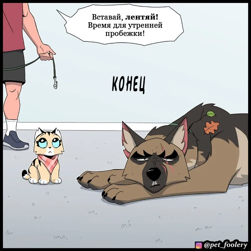 Pixie & Brutus - The Long Story p5 #8