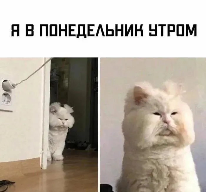 Доброе утро #1