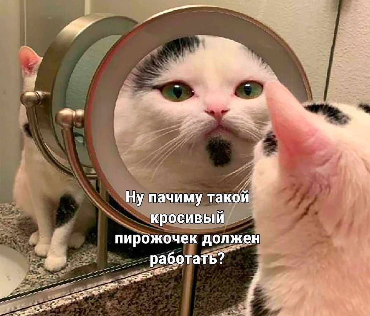 Минутка философии #1