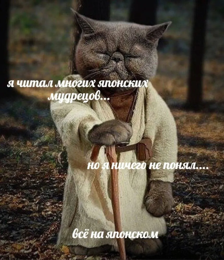 Немного вечерней философии #1