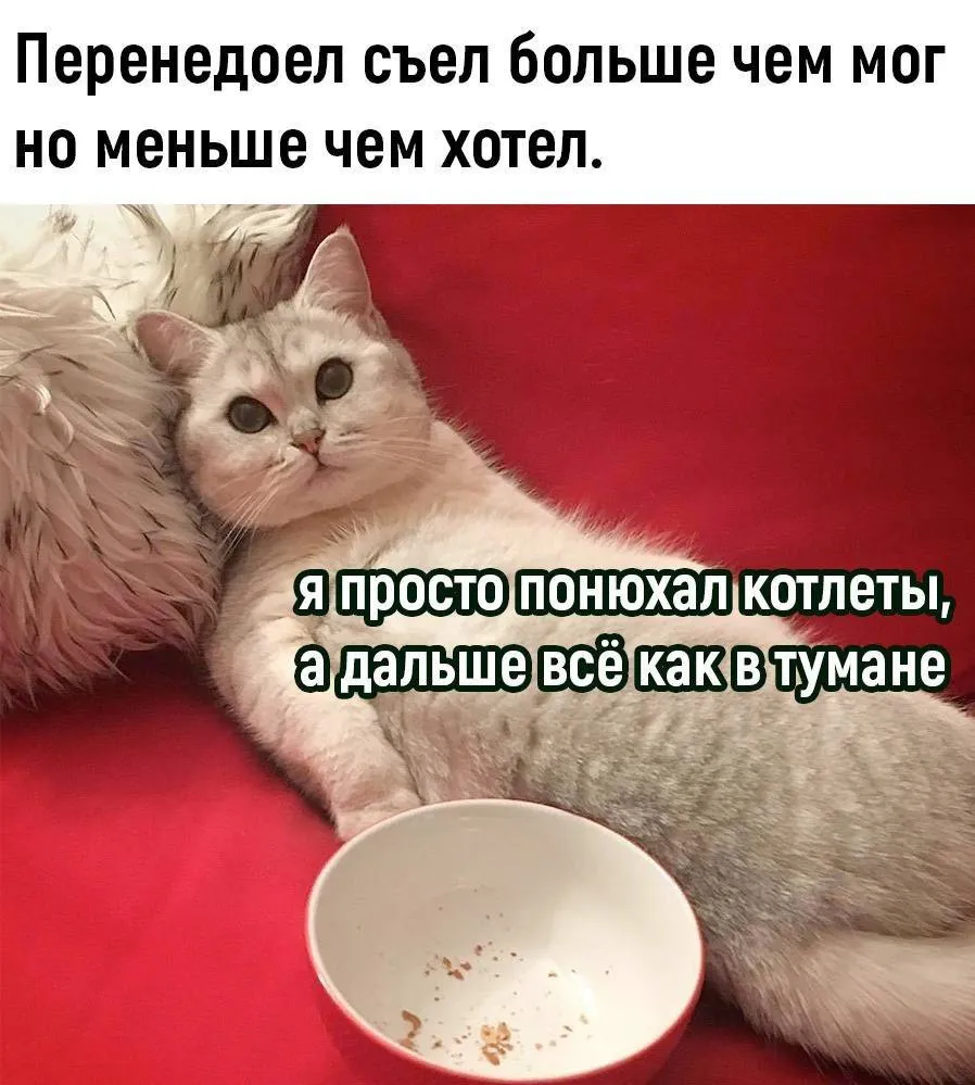 Доброй ночи #1
