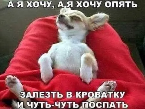 Доброе утро #1
