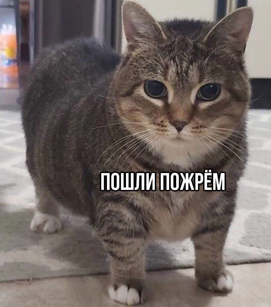 Доброе утро #1