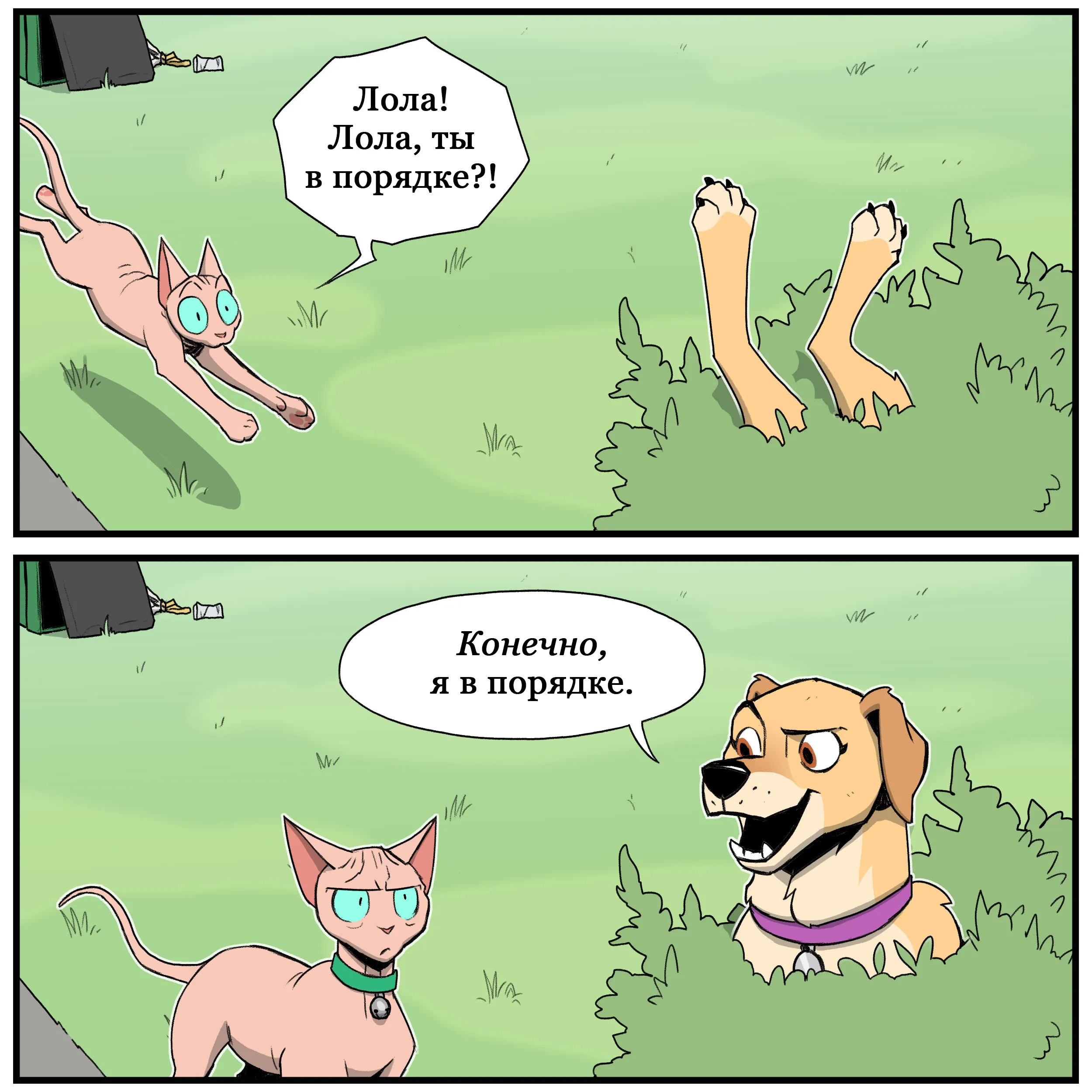 Pixie & Brutus - Point part 2 (2023.06.28) #4