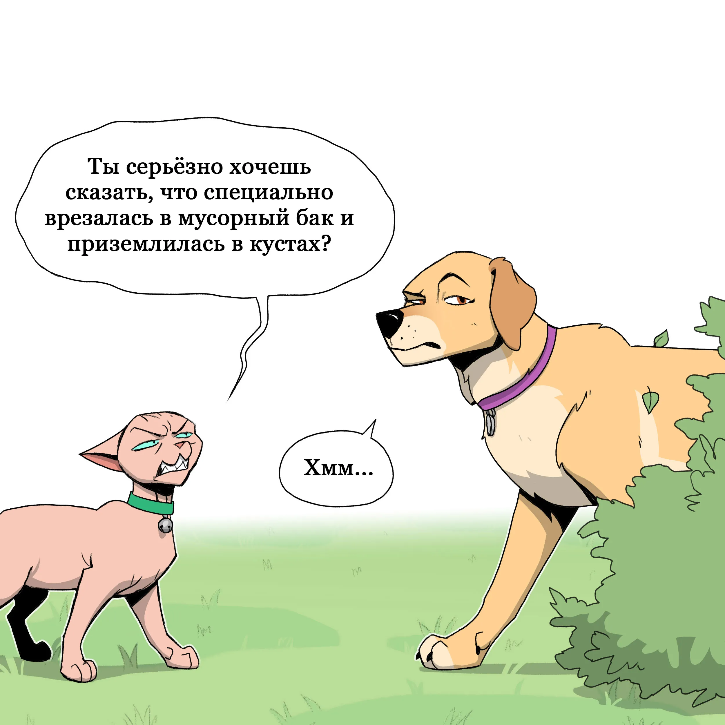 Pixie & Brutus - Point part 2 (2023.06.28) #6