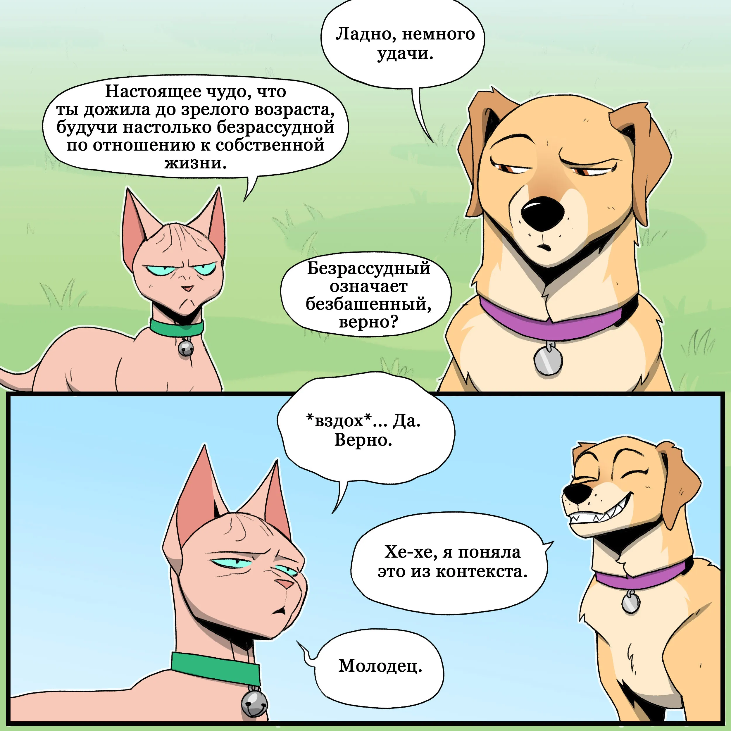 Pixie & Brutus - Point part 2 (2023.06.28) #7