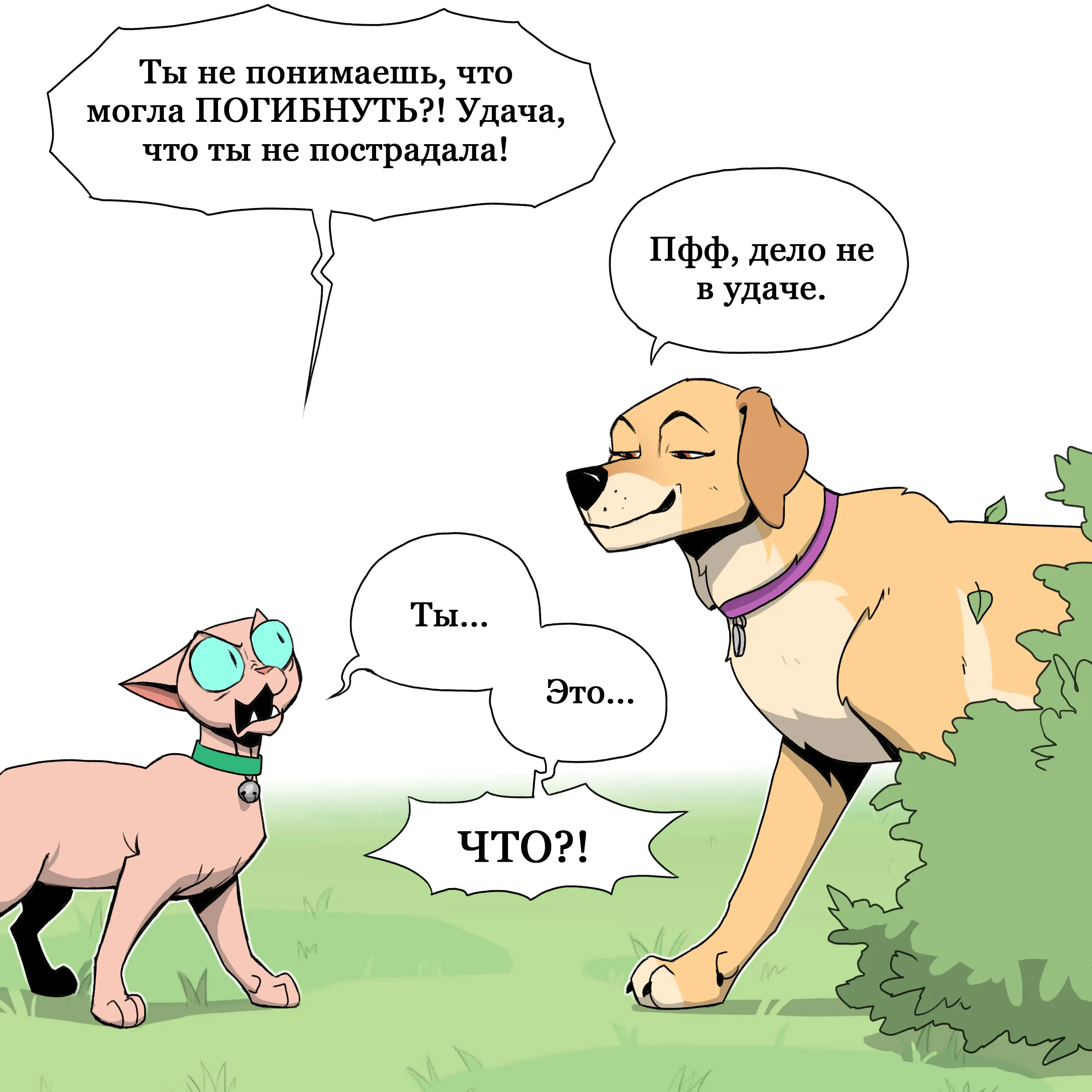 Pixie & Brutus - Point part 2 (2023.06.28) #5