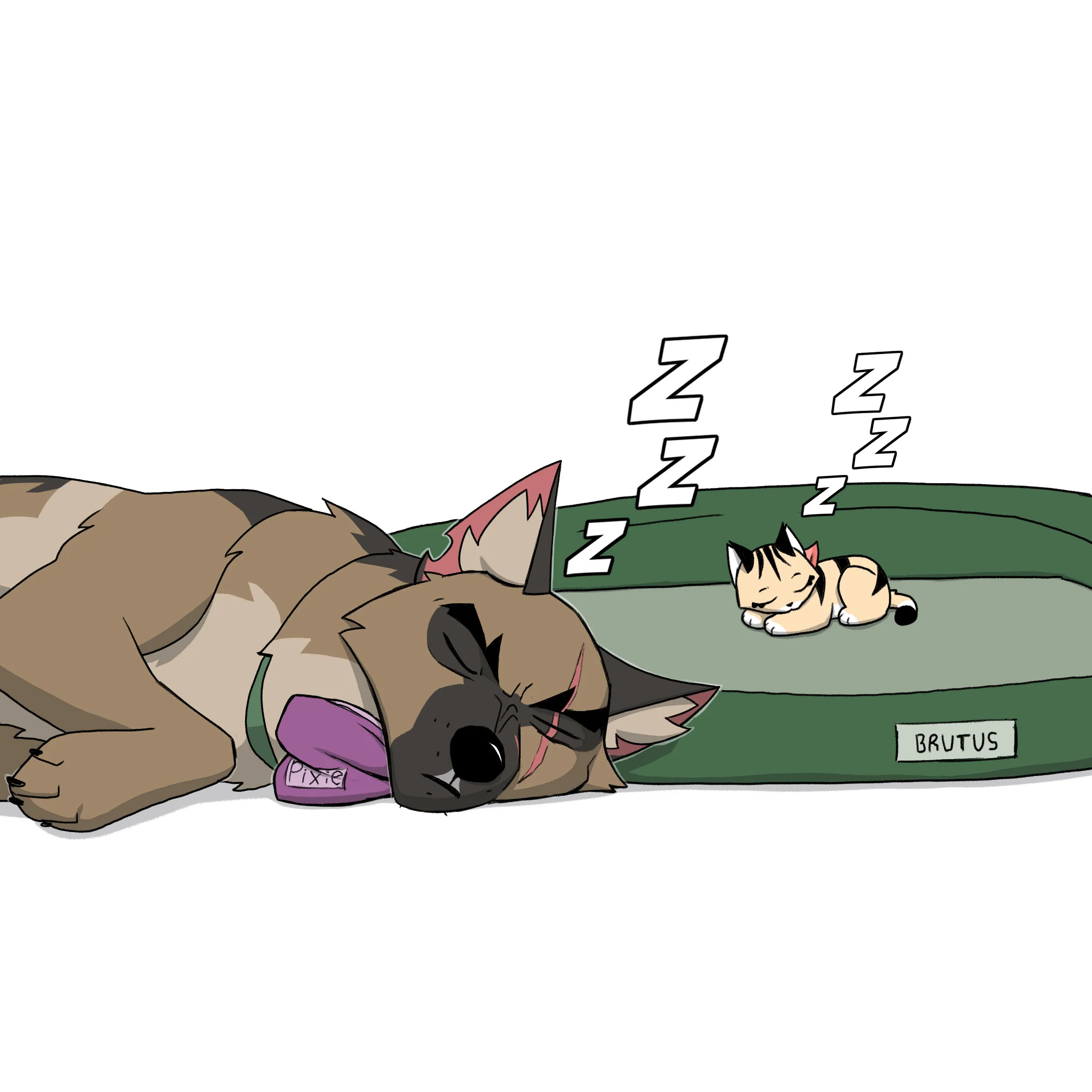 Pixie & Brutus - Thief (2023.06.29) #4