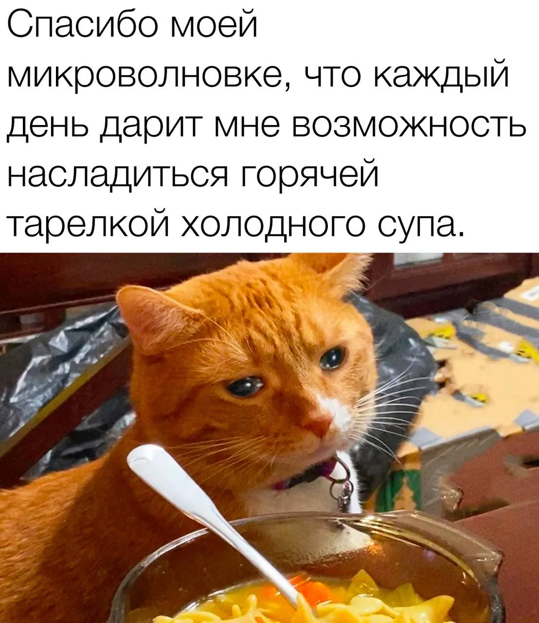 Благодарность #1