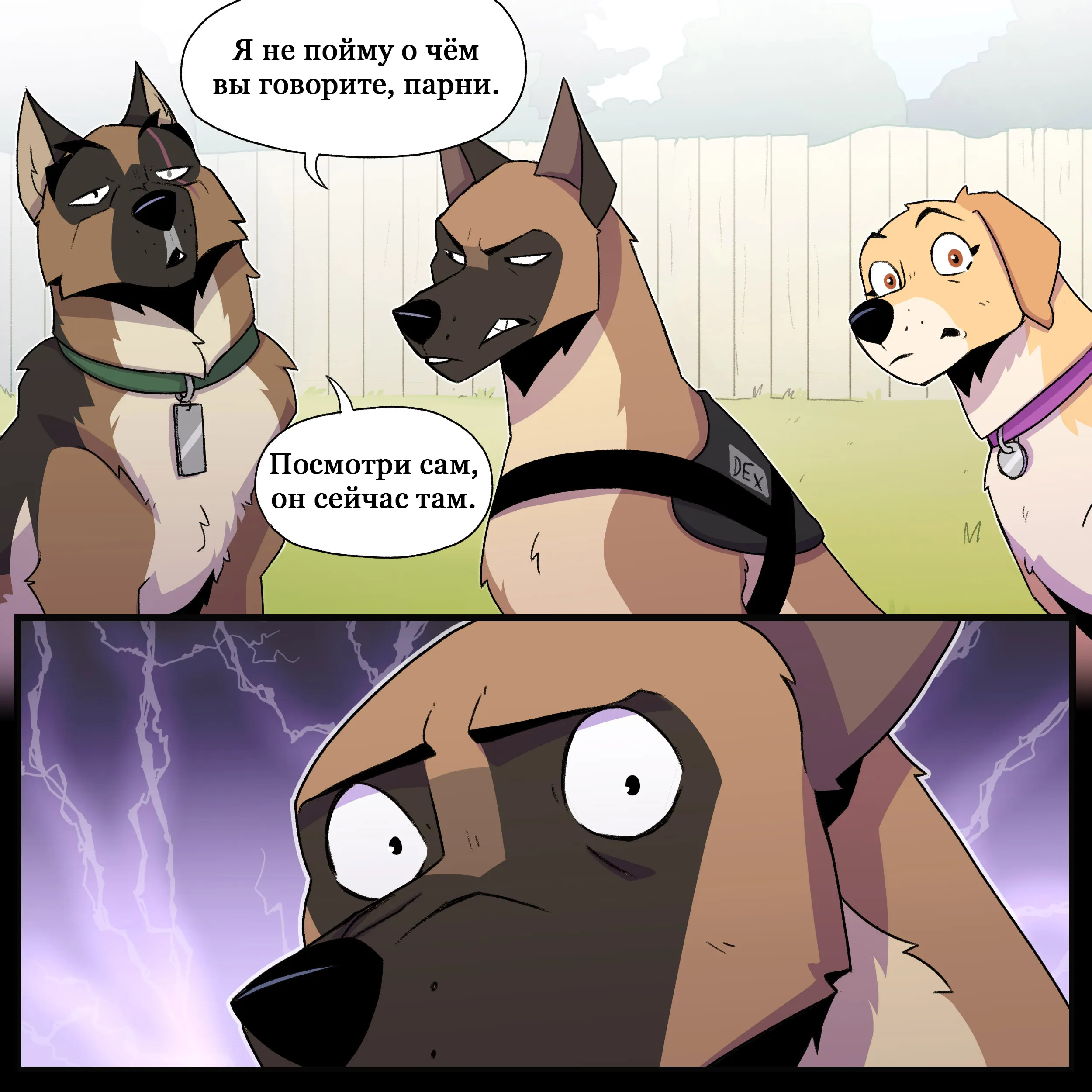 Pixie & Brutus - Peeker part 1 (2023.07.22) #4