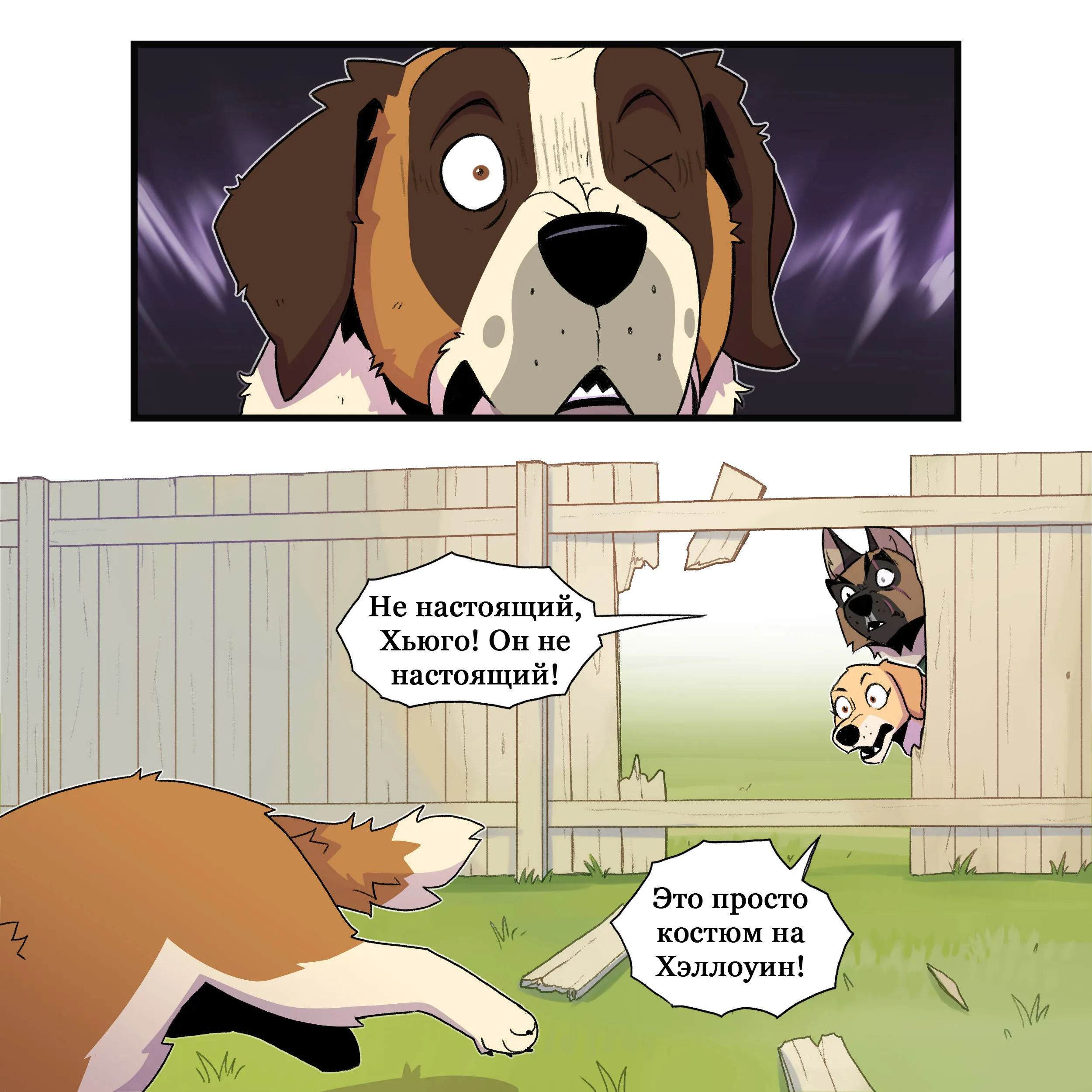 Pixie & Brutus - Peeker part 2 (2023.07.26) #5