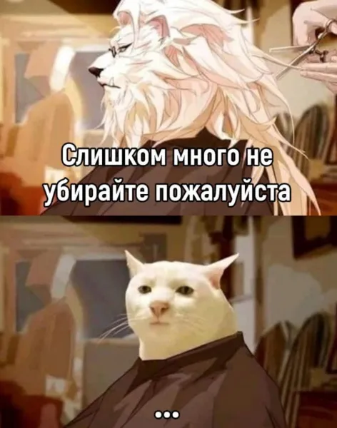 Случай в парикмахерской #1