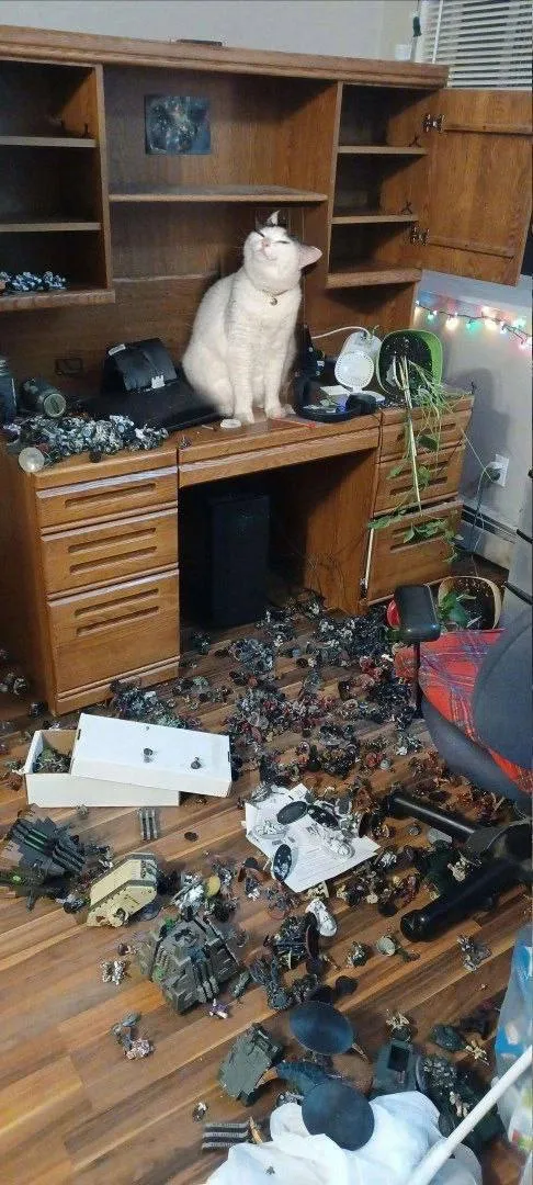 Кто тут хороший мальчик? #1
