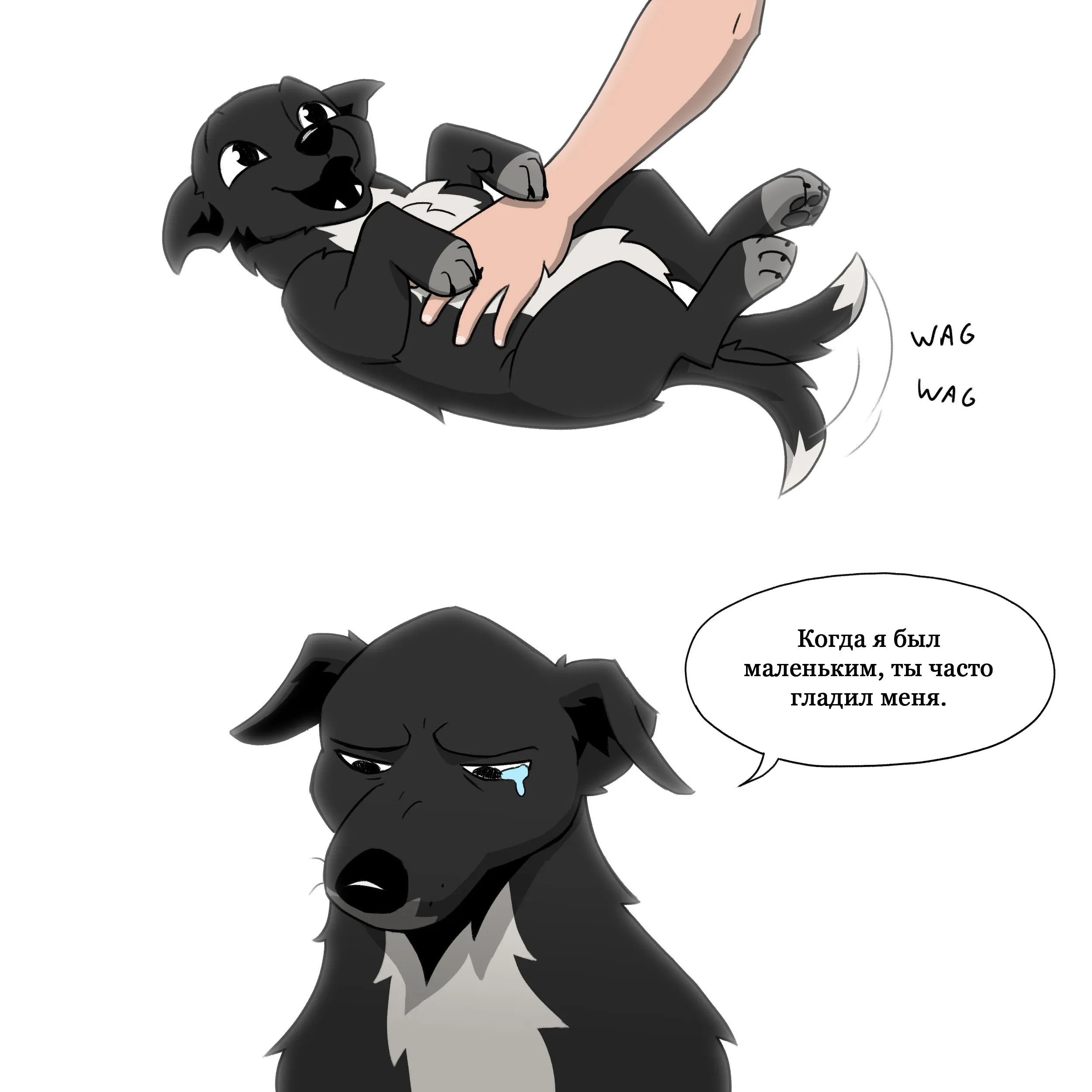Petting (2023.07.27) #1