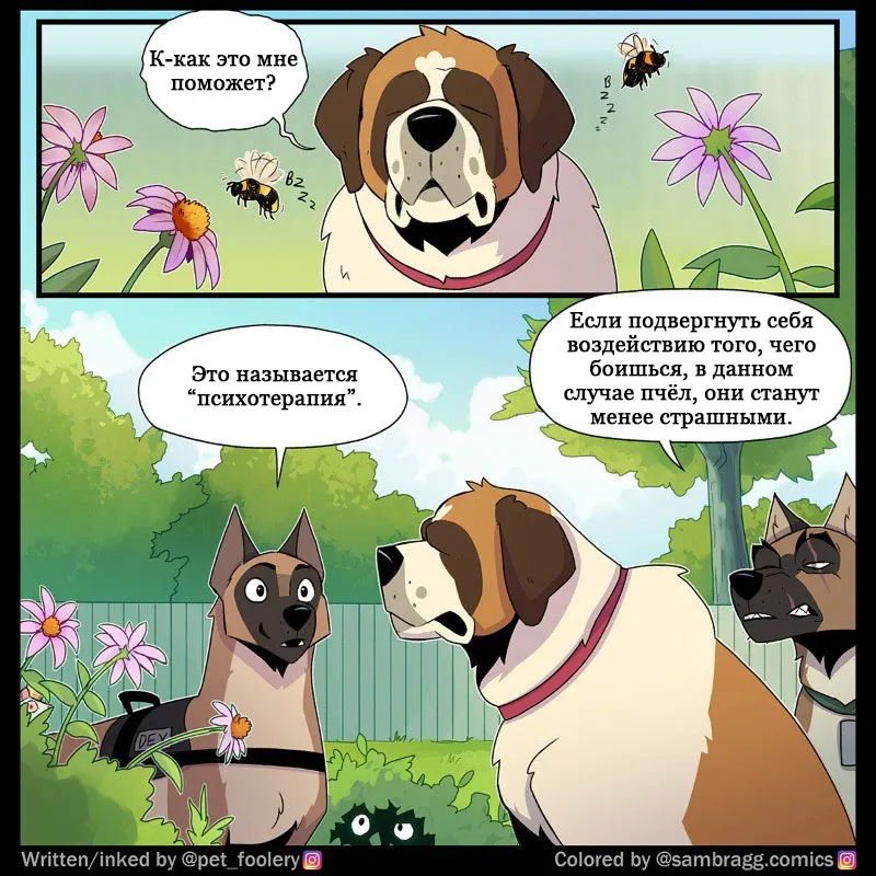 Pixie & Brutus - Exposure Therapy #1