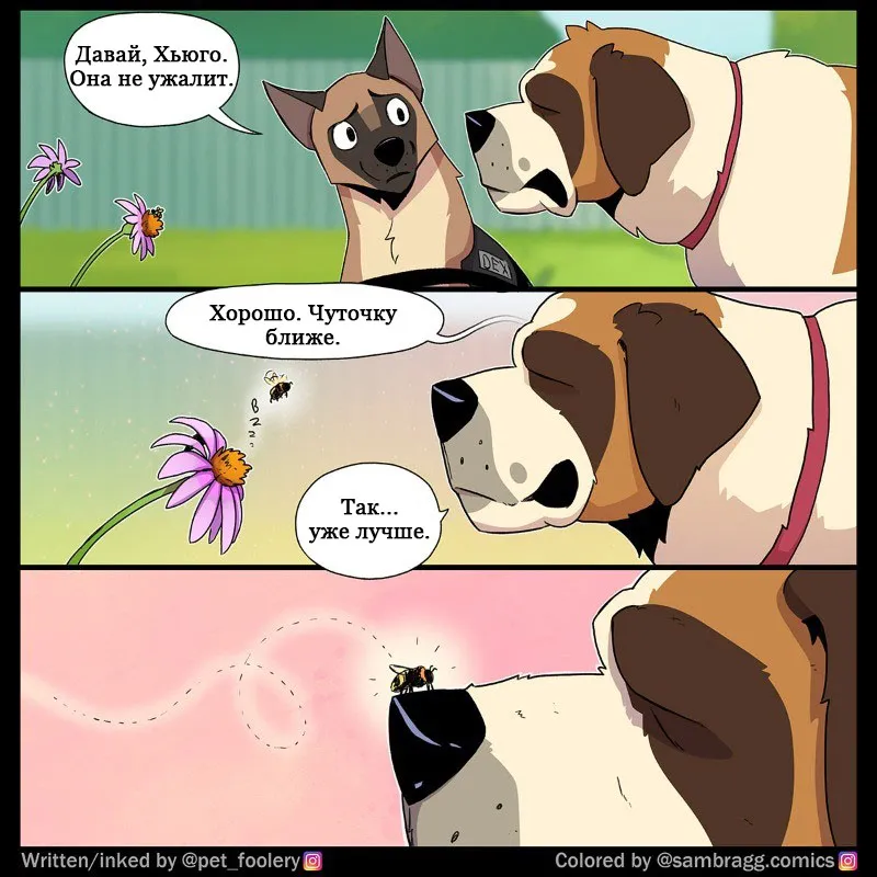 Pixie & Brutus - Exposure Therapy #3