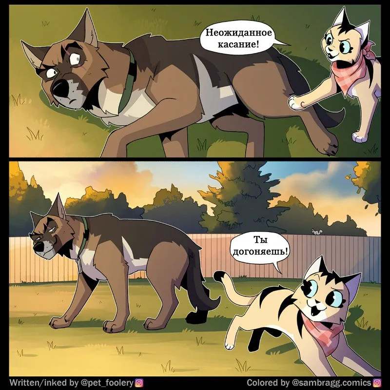 Pixie & Brutus - Old #1