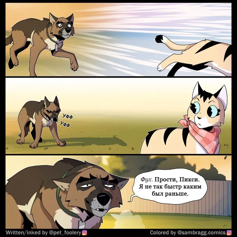 Pixie & Brutus - Old #2