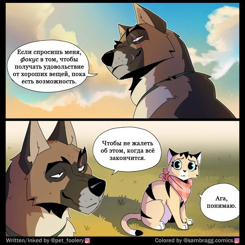 Pixie & Brutus - Old #5