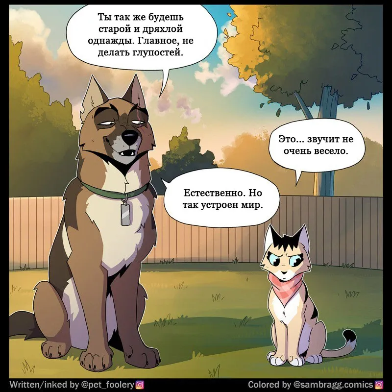 Pixie & Brutus - Old #4