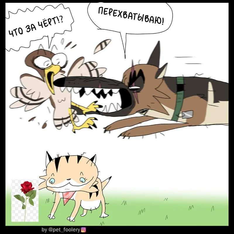 Pixie & Brutus - Crusty #4