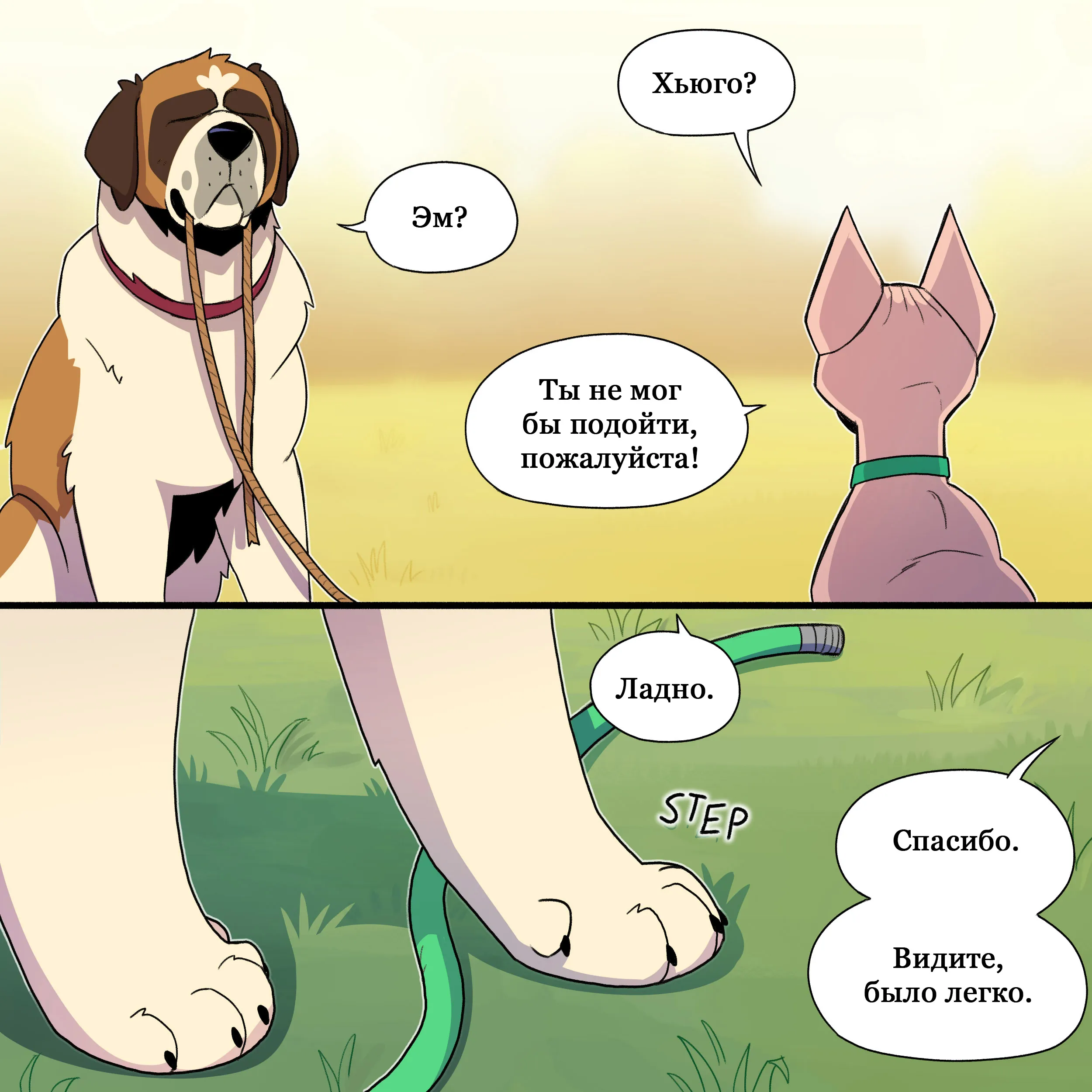 Pixie & Brutus - Tank (2023.08.21) #4
