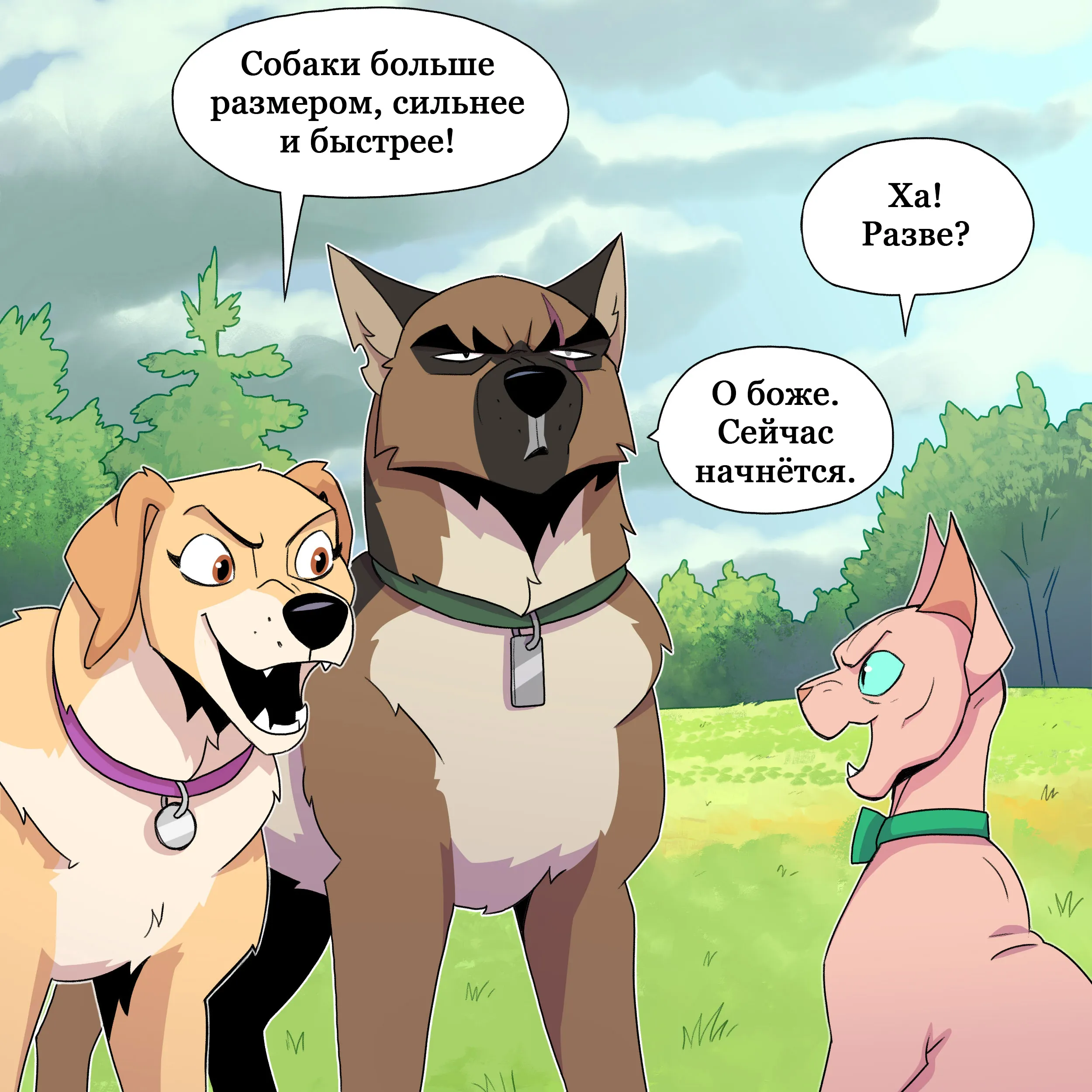 Pixie & Brutus - Dogs vs Cats (2023.09.08) #2
