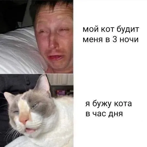 Доброе утро #1