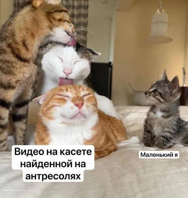 Надо, надо умываться по утрам и вечерам #1