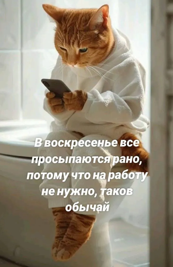 Доброе утро #1