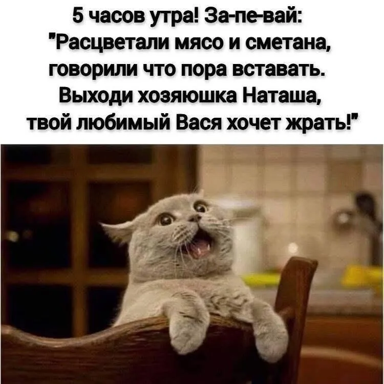 Доброе утро #1