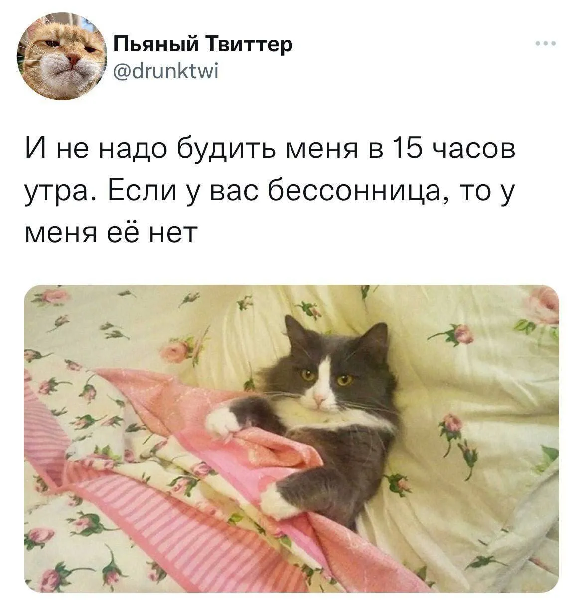 С Добрым Утром🌞🐈 #2