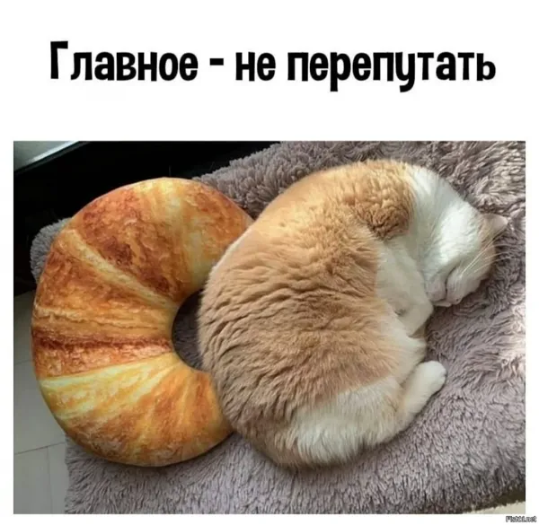 Сладкая булочка #1