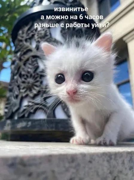 Плановая проверка мимиметров на прочность #1