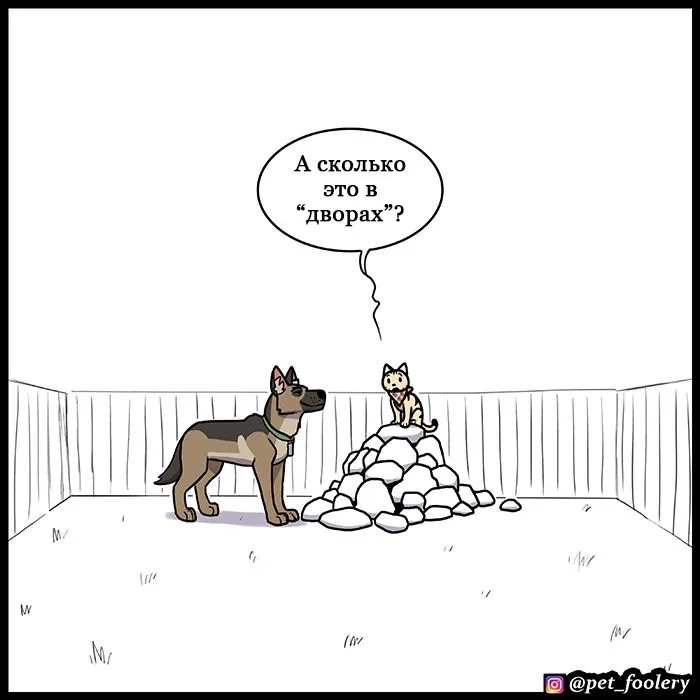 Pixie & Brutus - Everest Mountain #7