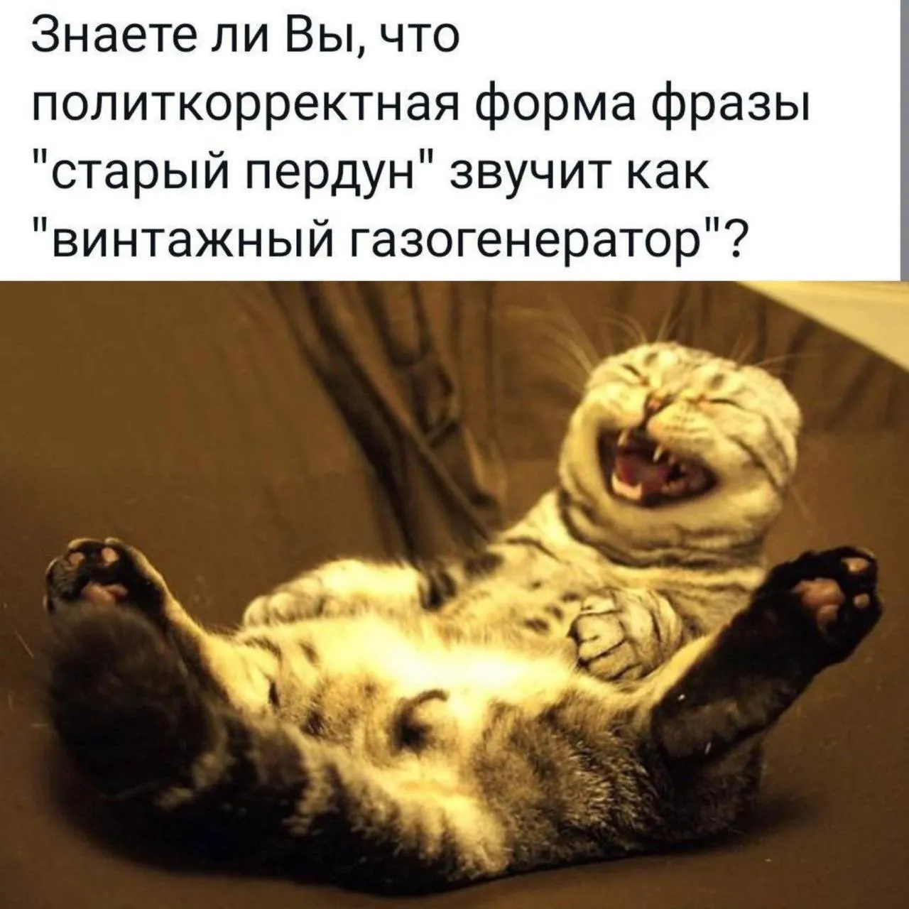 Соблюдаем политкорректность #1