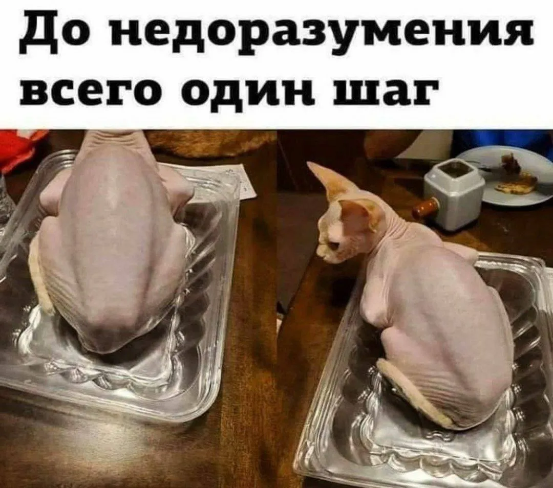 Главное не перепутать #1