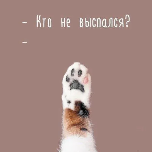 Доброе утро #1