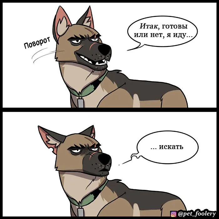 Pixie & Brutus - Hide N Seek #1