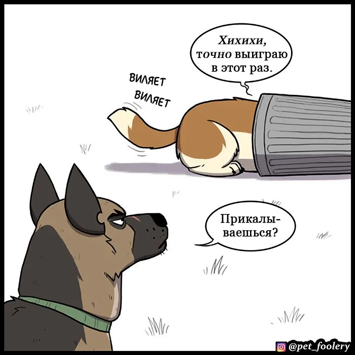 Pixie & Brutus - Hide N Seek #2