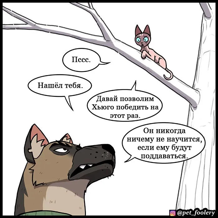 Pixie & Brutus - Hide N Seek #3