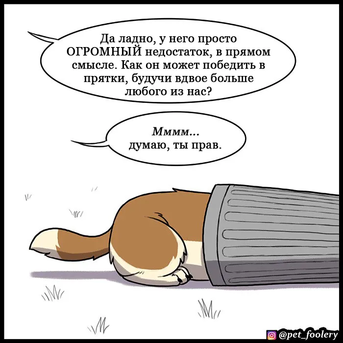 Pixie & Brutus - Hide N Seek #4