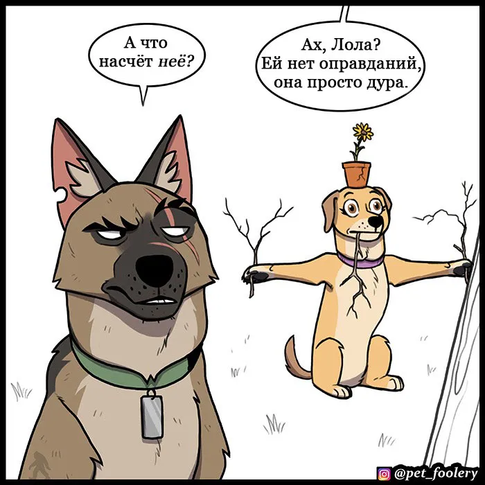 Pixie & Brutus - Hide N Seek #5